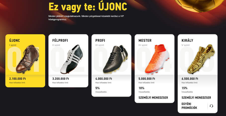 vip program