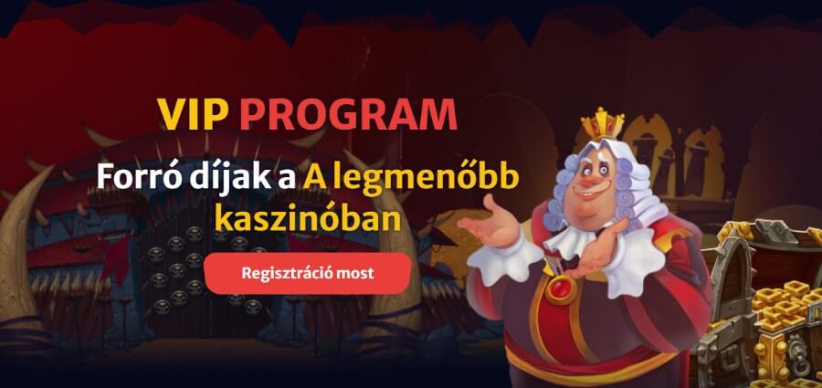 VIP program