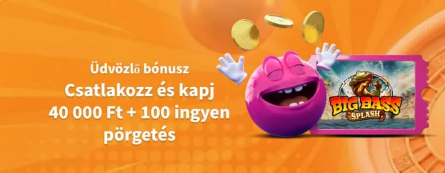 üdvözlő csomag