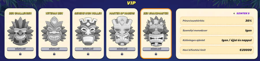 vip program